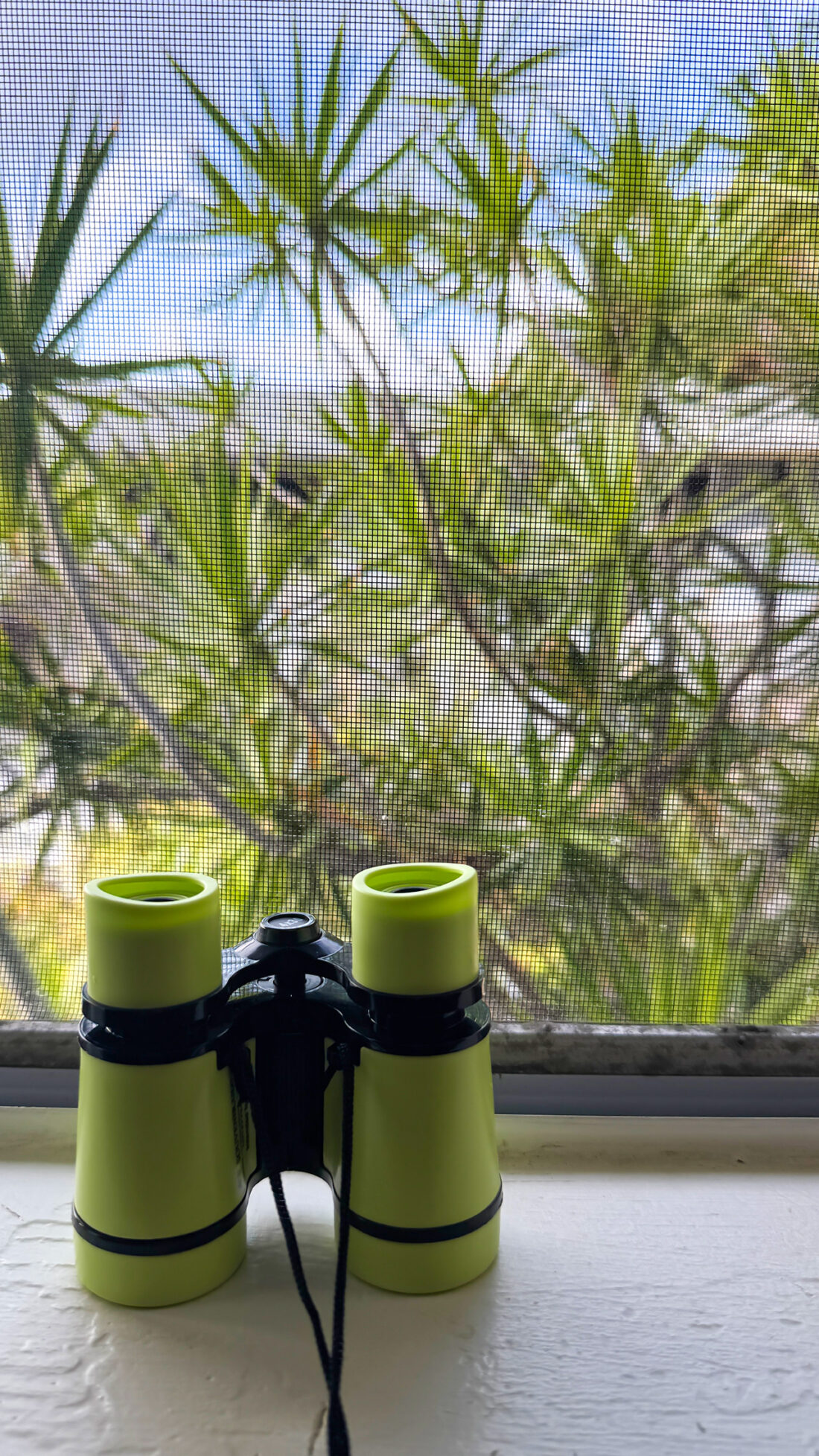 娘が見つけたもの。