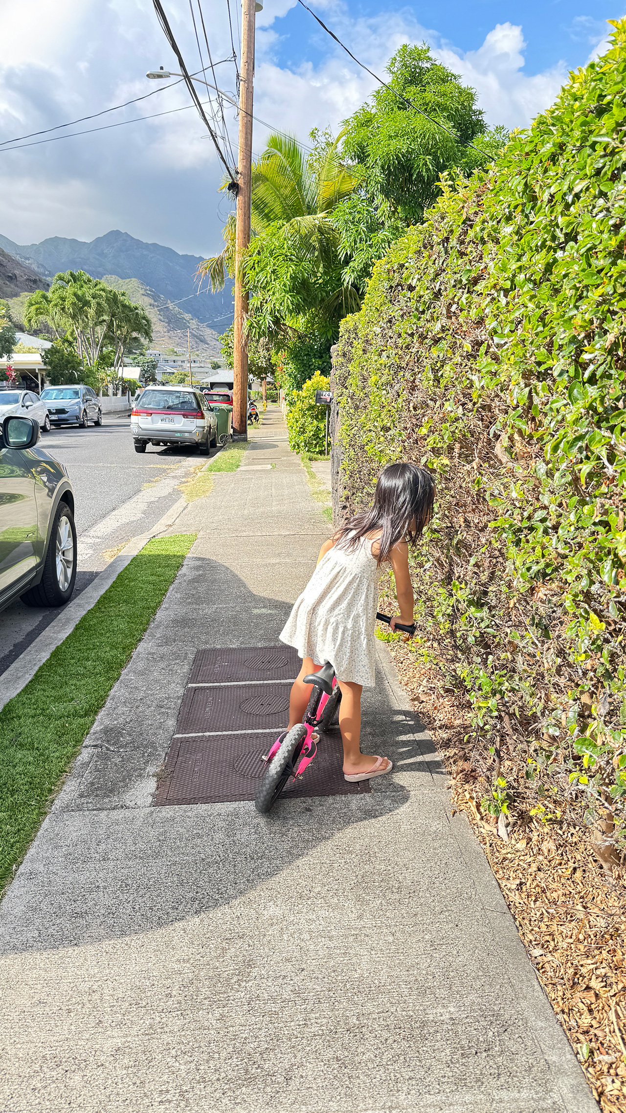 ご近所さん。 ご近所さん。