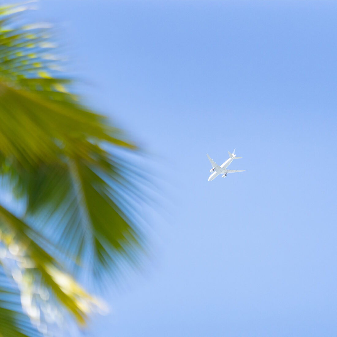 見上げるとじんわりと温かいもの。