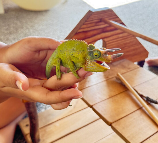 日曜日の朝に珍しいお客様。