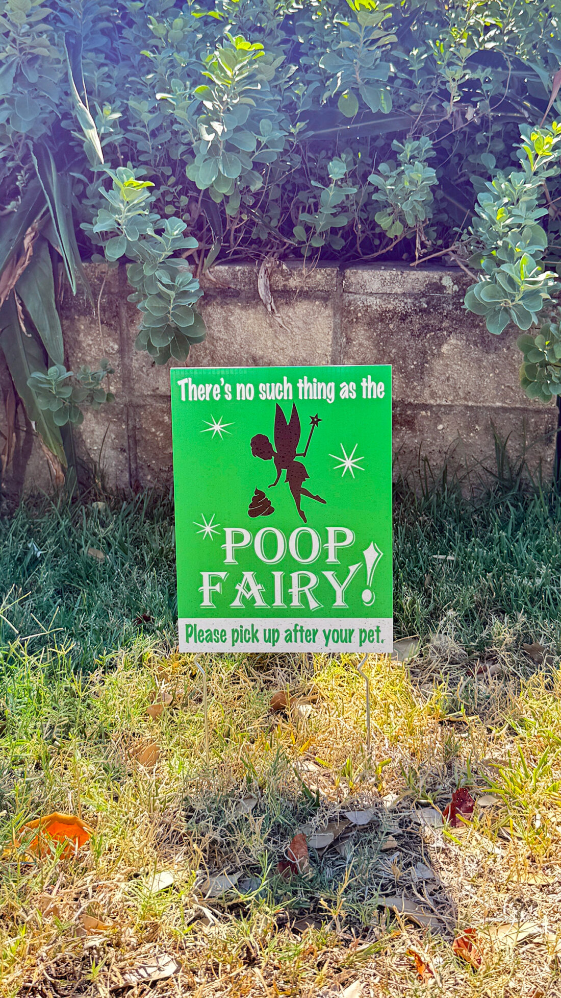 新種発見！糞したらあかんでサイン。