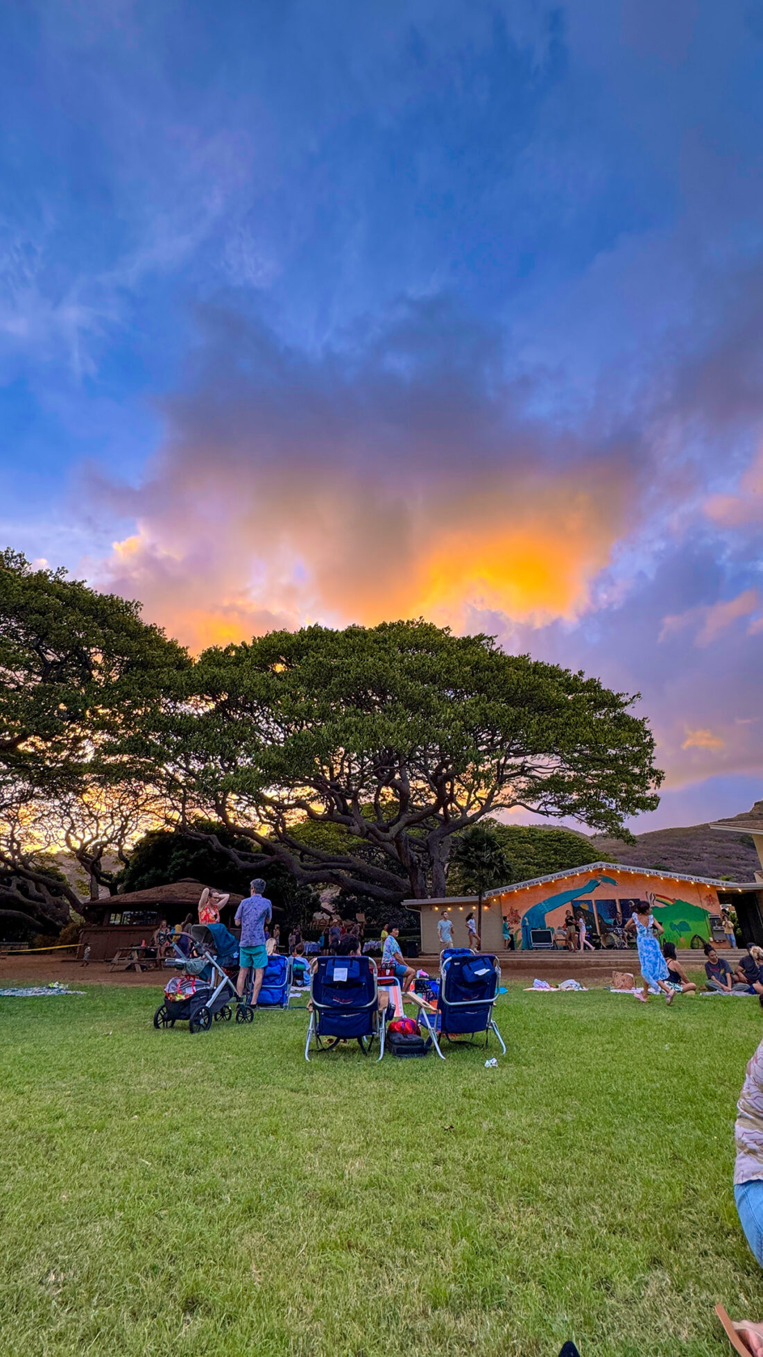 モンキーポッドの木陰でのピクニック。