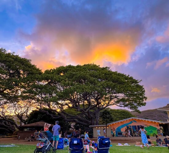 モンキーポッドの木陰でのピクニック。