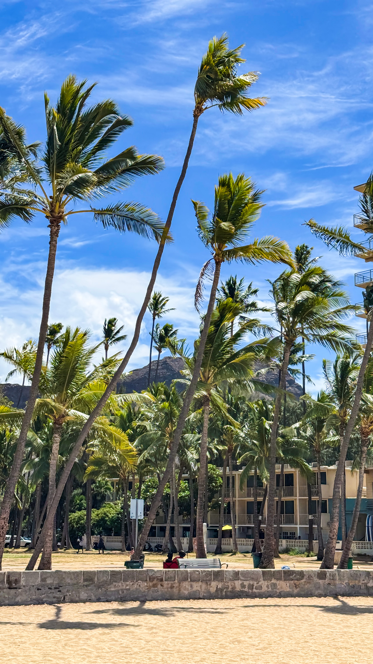 やっぱりカイマナビーチ。 やっぱりカイマナビーチ。