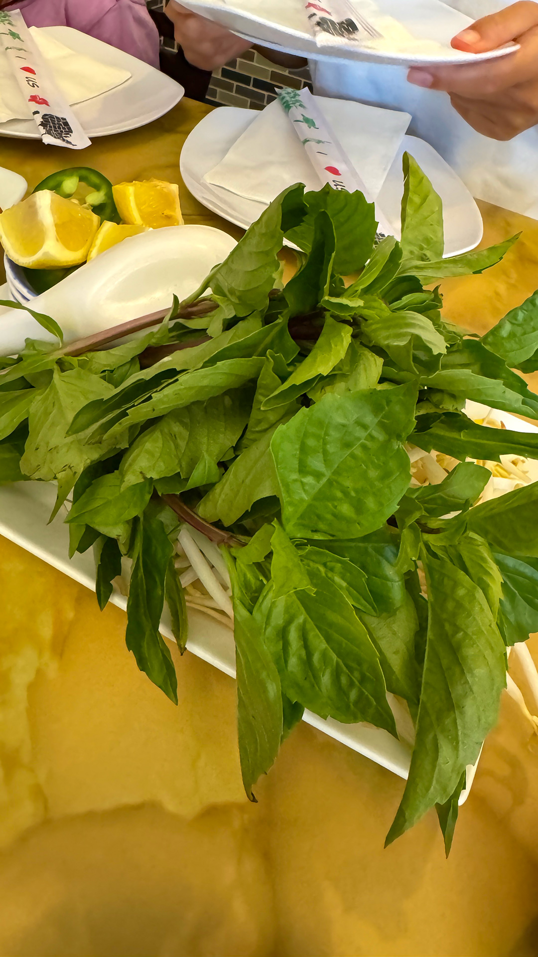 サイゴンズレストラン | Saigon's Restaurant サイゴンズレストラン | Saigon's Restaurant