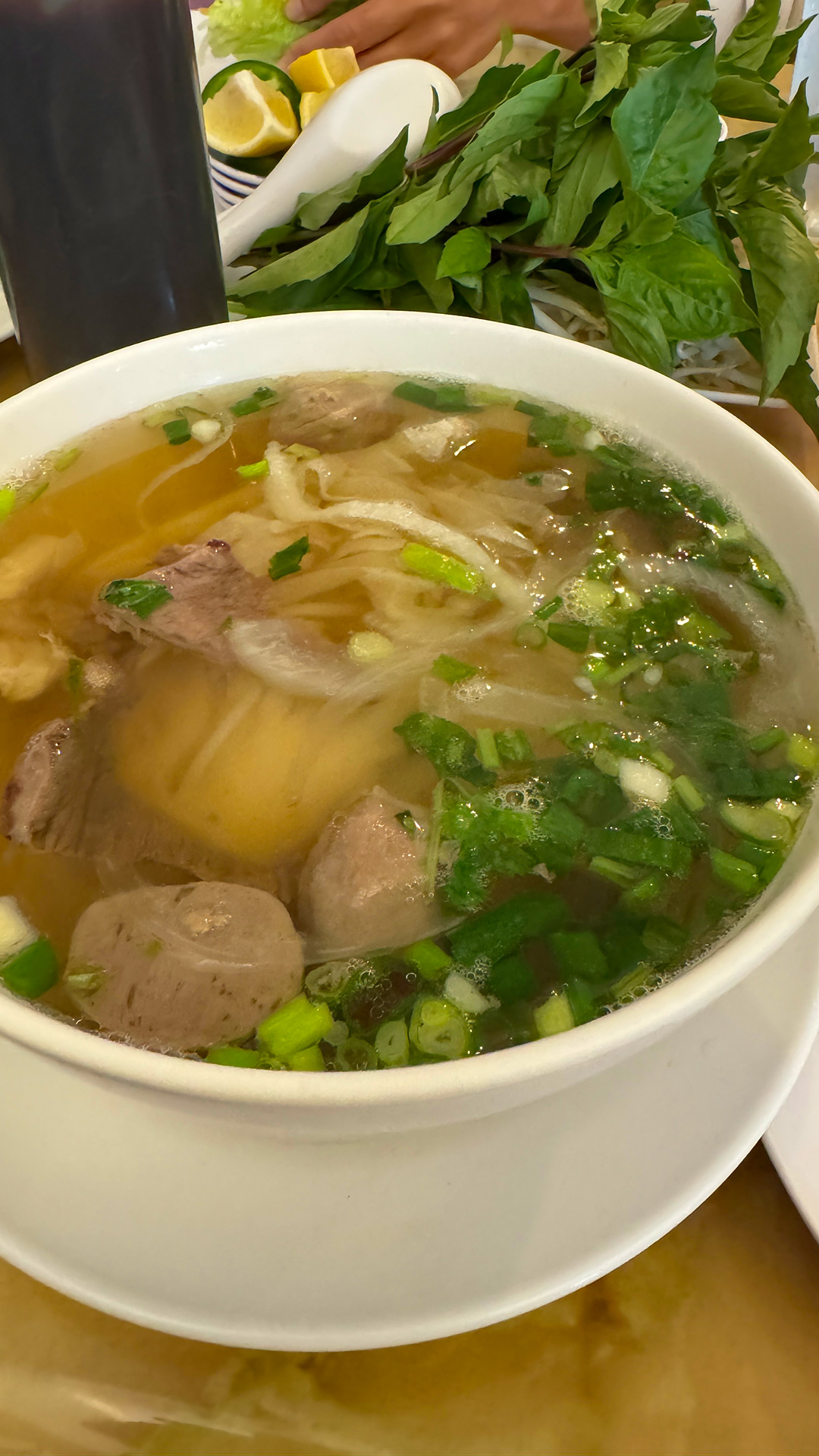 サイゴンズレストラン | Saigon's Restaurant