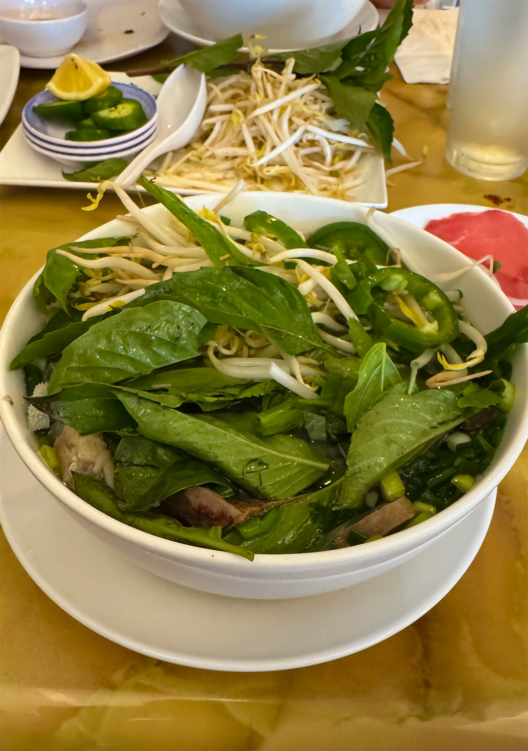 サイゴンズレストラン | Saigon's Restaurant サイゴンズレストラン | Saigon's Restaurant