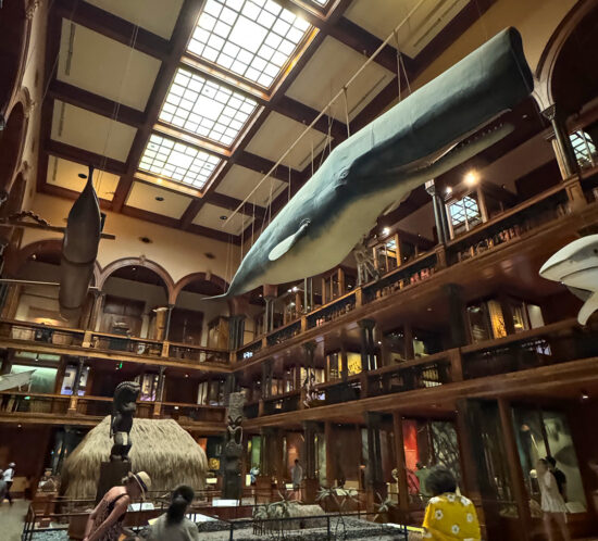 ビショップ ミュージアム。