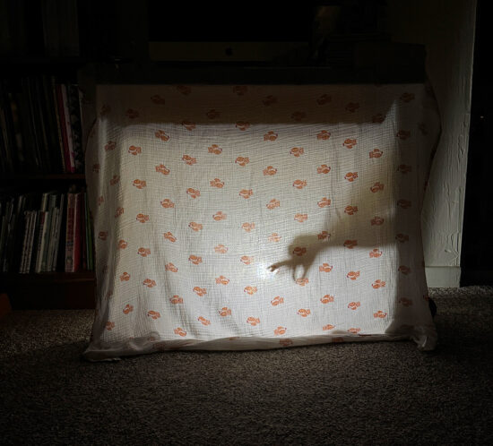 みんな集まれ〜♪