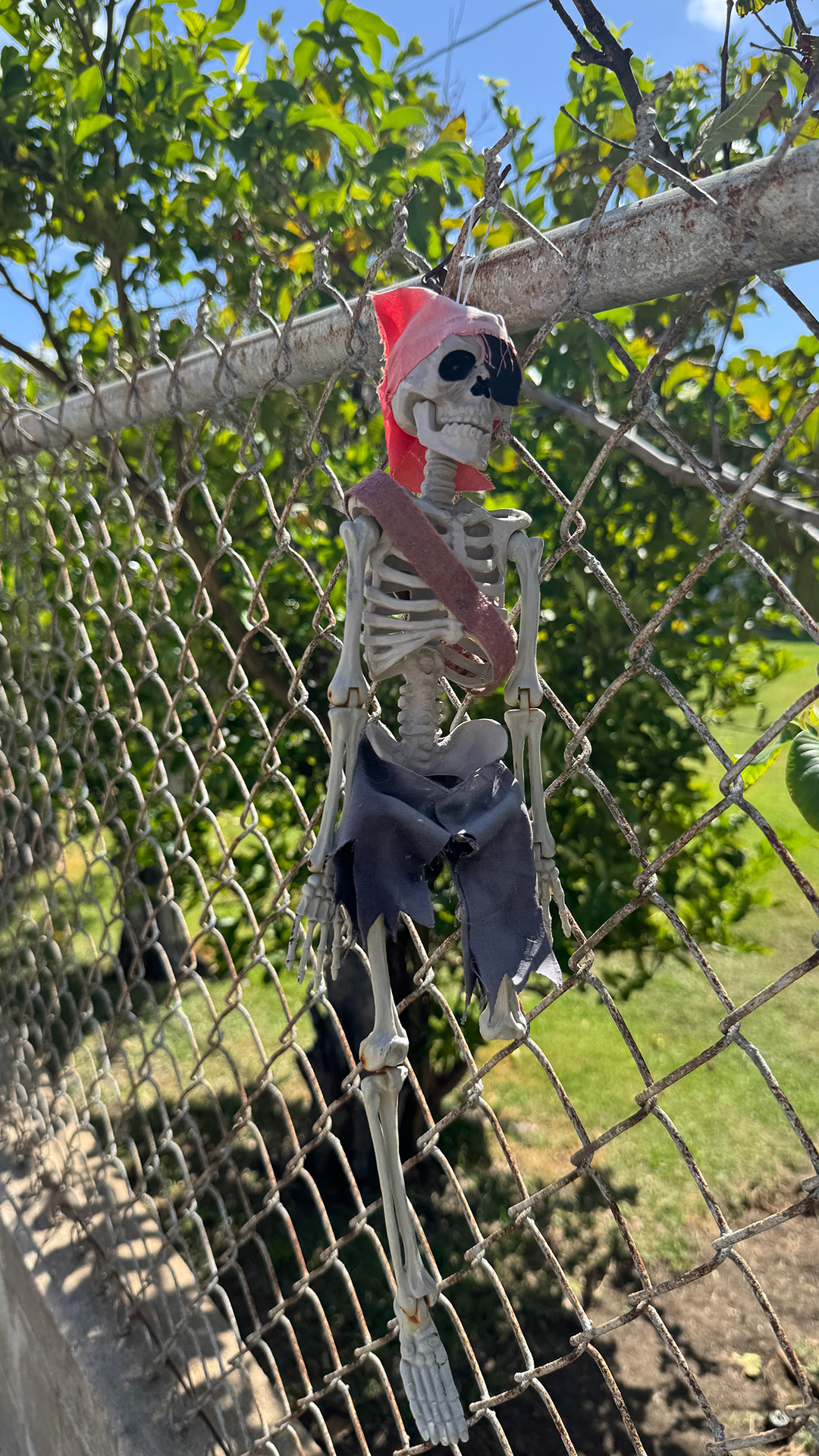 近所で見つけたのハロウィンディスプレイ2 近所で見つけたのハロウィンディスプレイ2