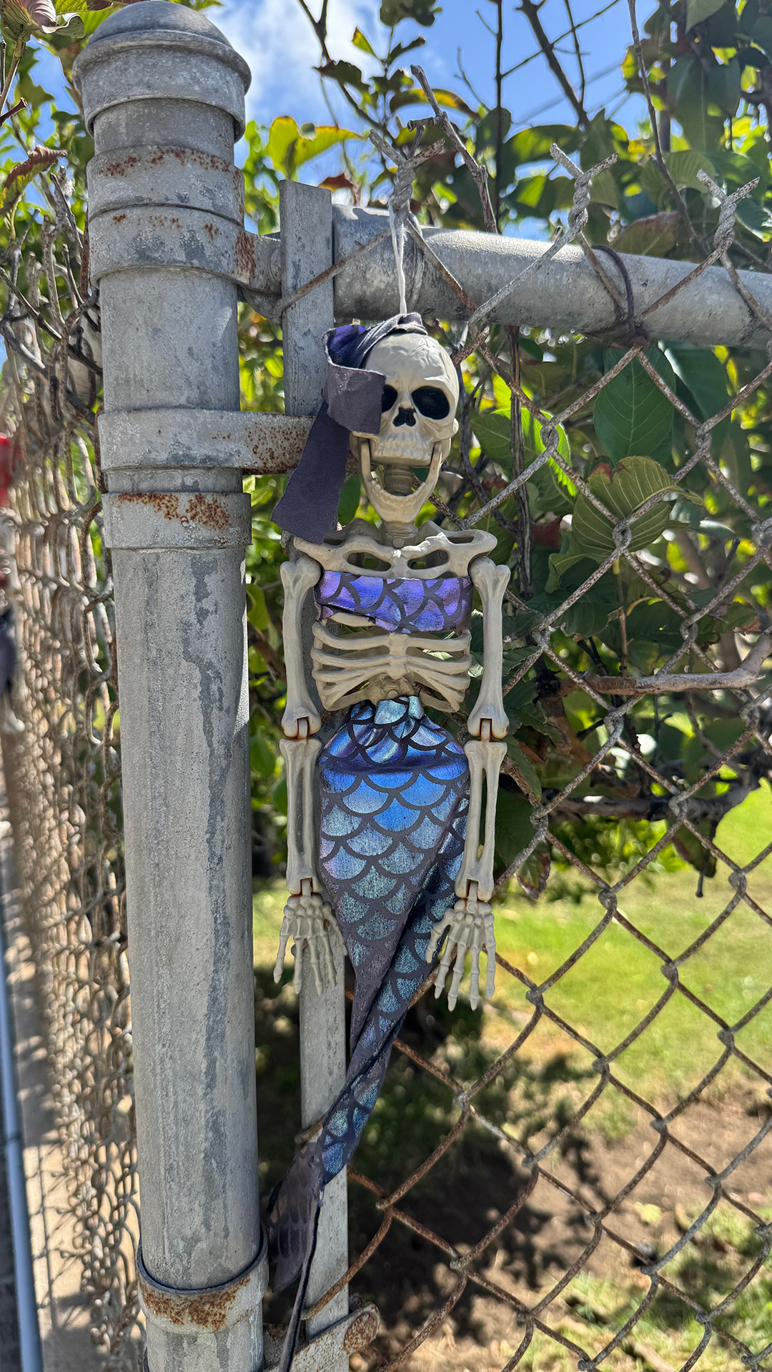 近所で見つけたのハロウィンディスプレイ2 近所で見つけたのハロウィンディスプレイ2