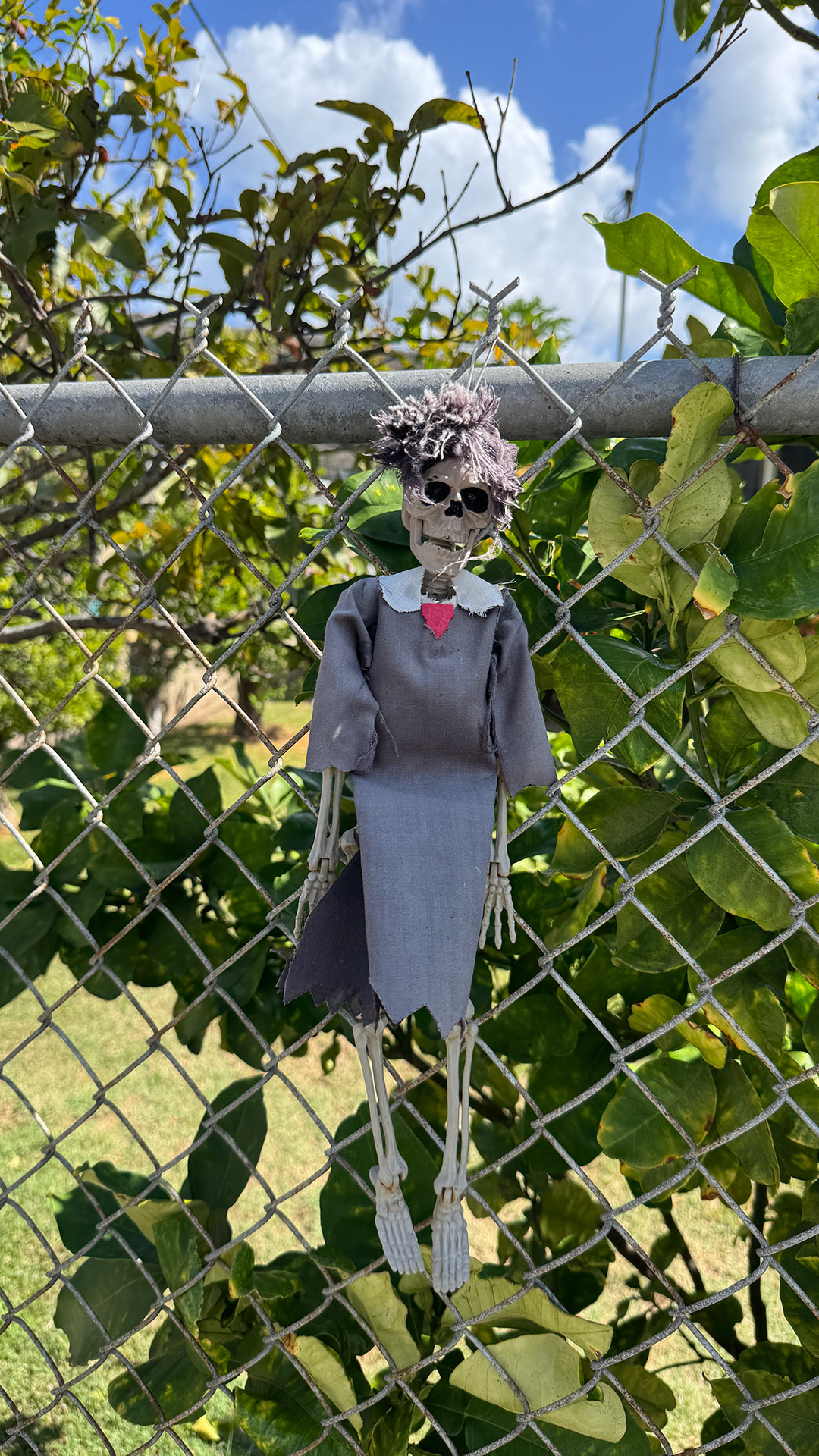 近所で見つけたのハロウィンディスプレイ2 近所で見つけたのハロウィンディスプレイ2