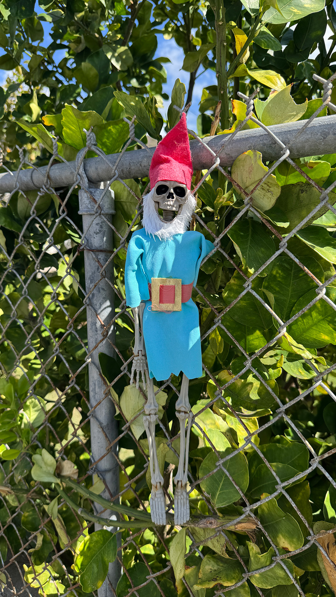 近所で見つけたのハロウィンディスプレイ2 近所で見つけたのハロウィンディスプレイ2