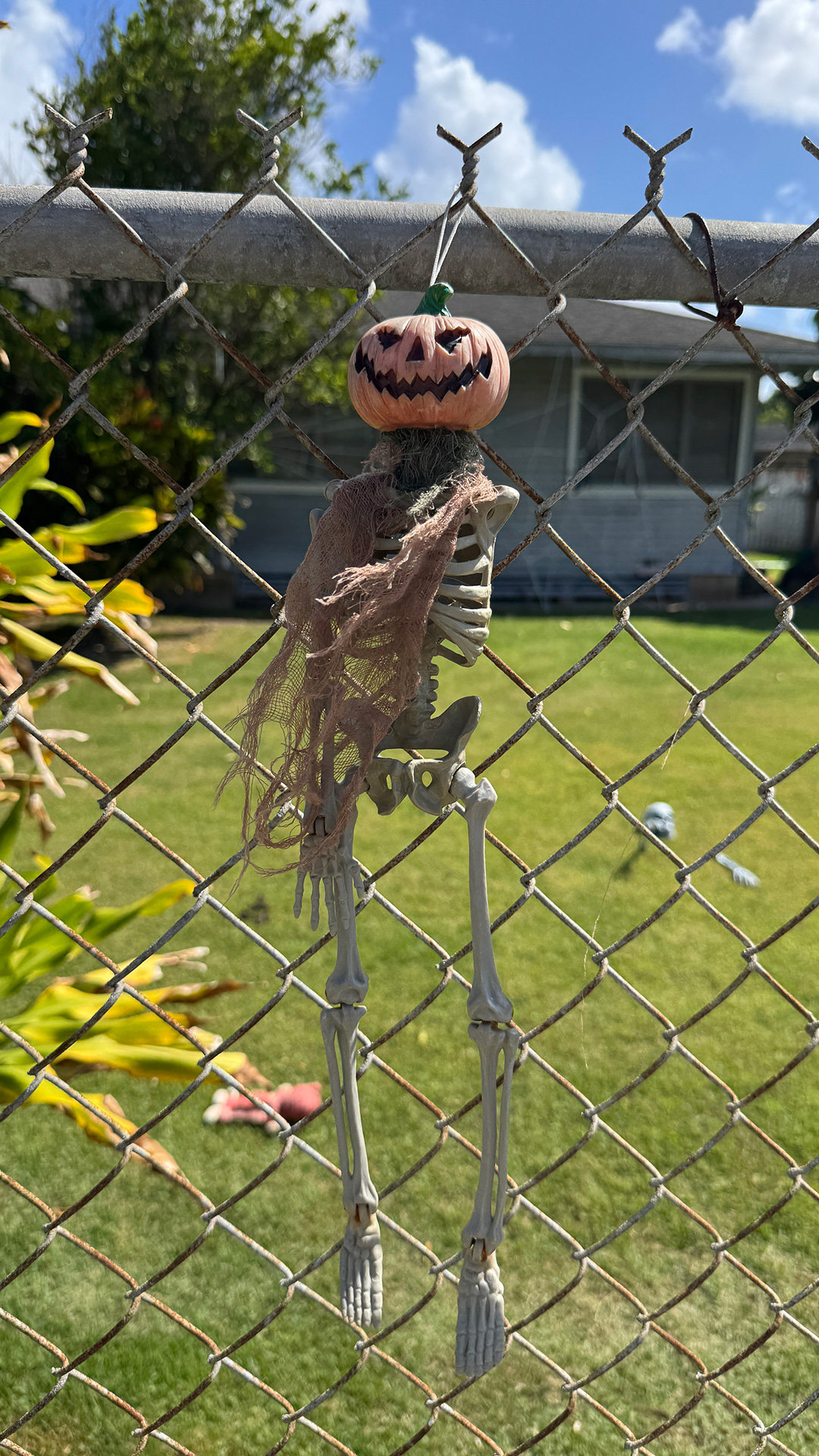 近所で見つけたのハロウィンディスプレイ2 近所で見つけたのハロウィンディスプレイ2