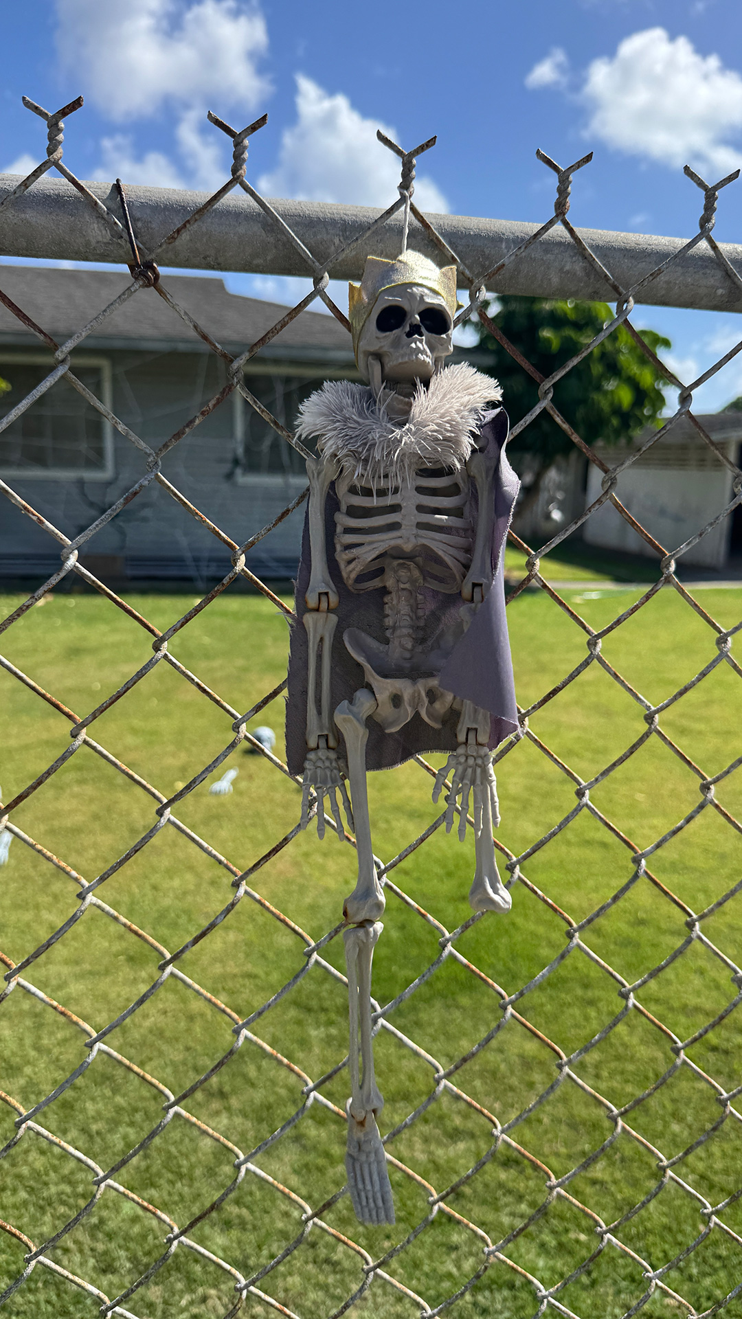 近所で見つけたのハロウィンディスプレイ2 近所で見つけたのハロウィンディスプレイ2