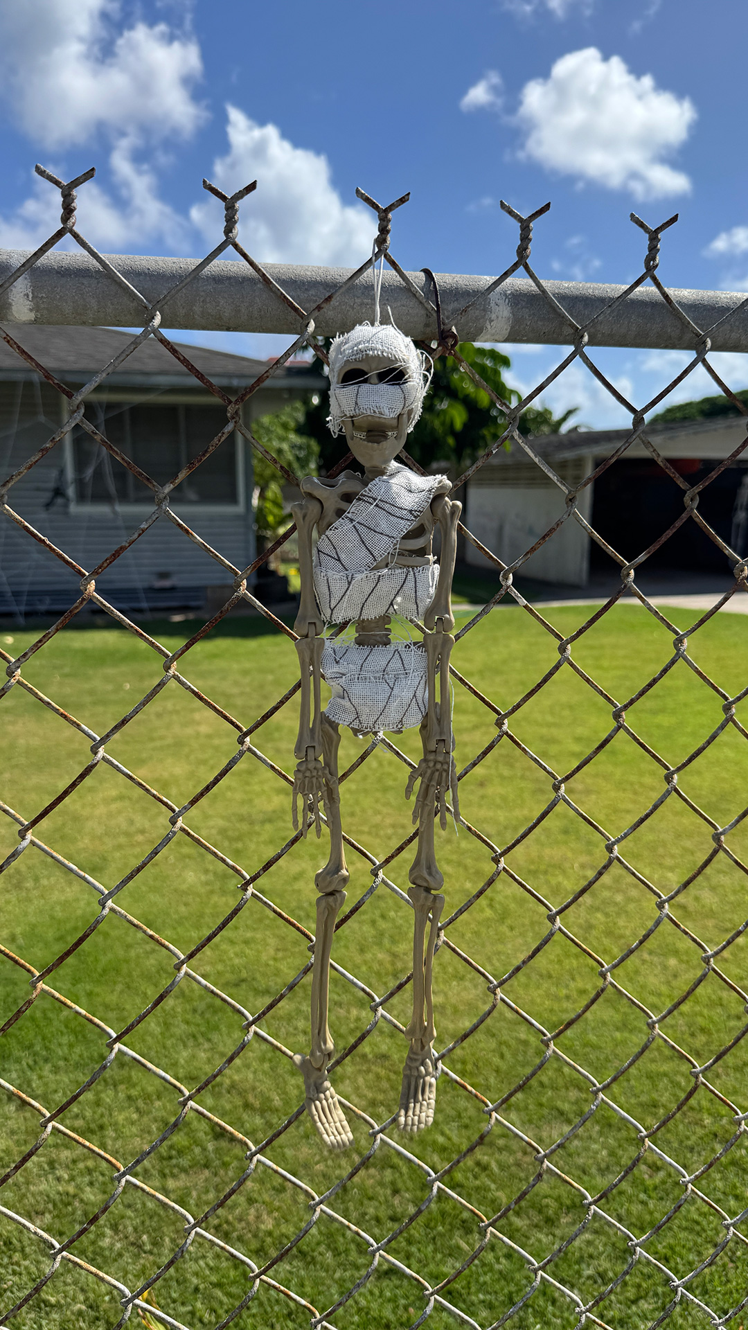 近所で見つけたのハロウィンディスプレイ2 近所で見つけたのハロウィンディスプレイ2