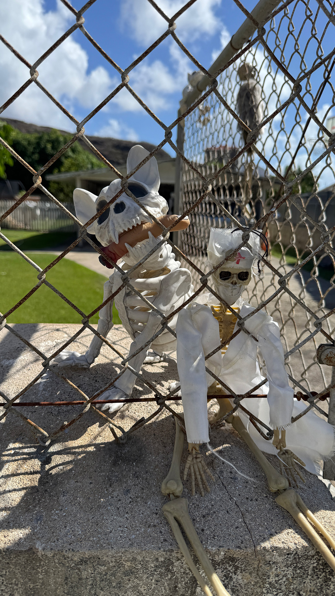 近所で見つけたのハロウィンディスプレイ2 近所で見つけたのハロウィンディスプレイ2