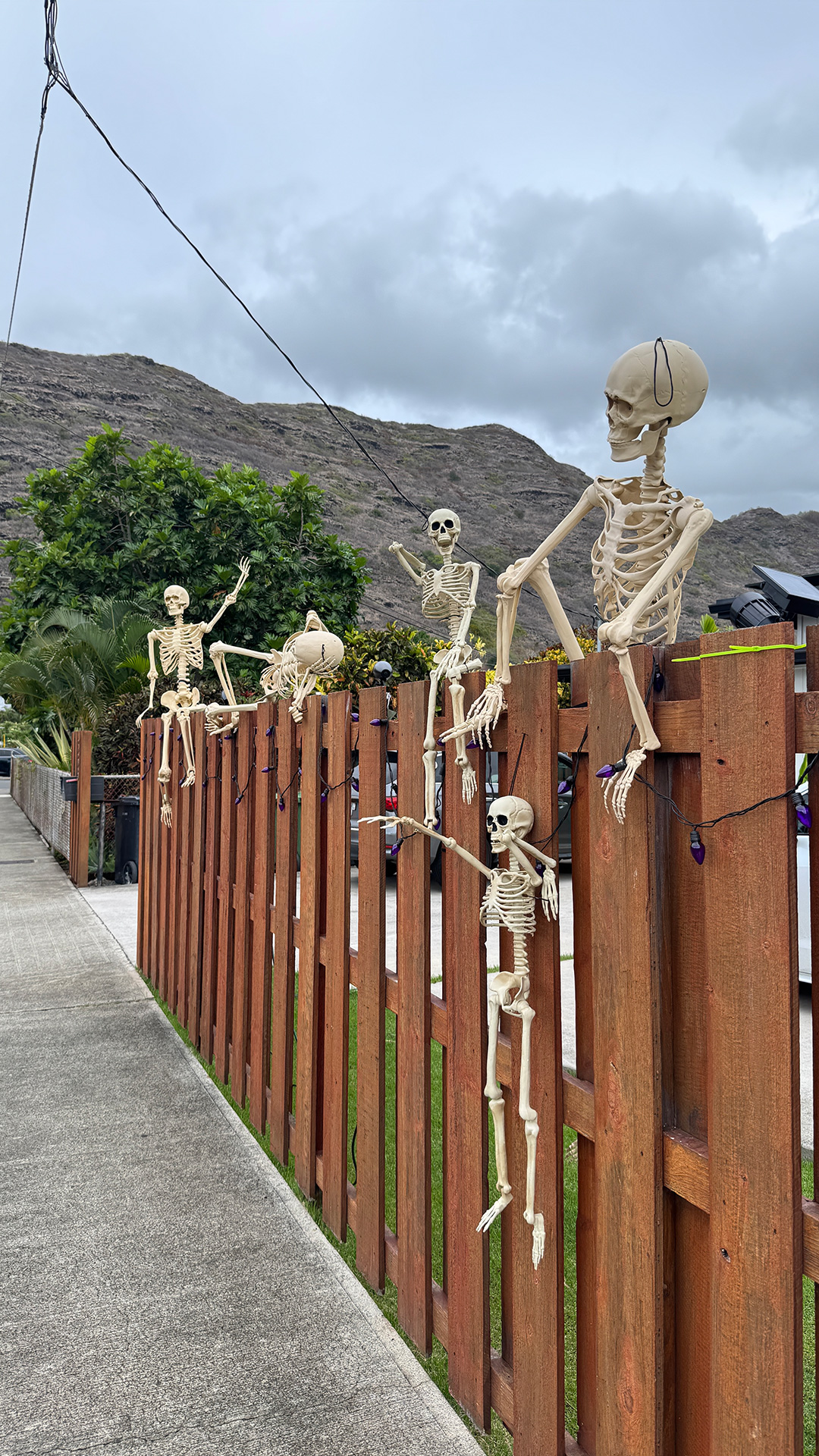 近所で見つけたのハロウィンディスプレイ2 近所で見つけたのハロウィンディスプレイ2