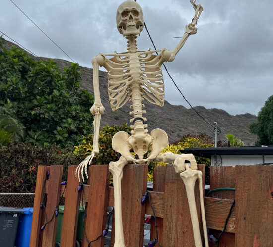 近所で見つけたのハロウィンディスプレイ2