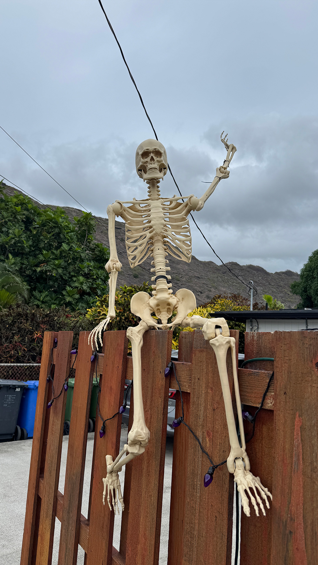 近所で見つけたのハロウィンディスプレイ２