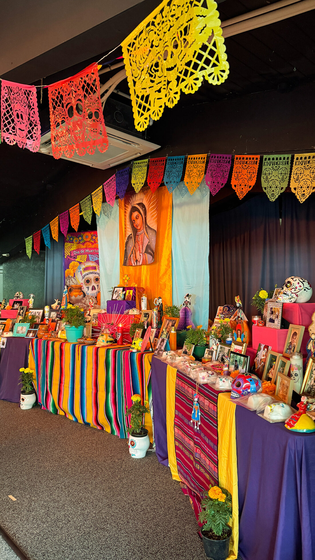 Día de los Muertos | ディア・デ・ロス・ムエルトス | 死者の日