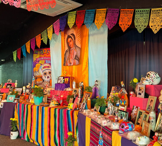 Día de los Muertos | ディア・デ・ロス・ムエルトス | 死者の日