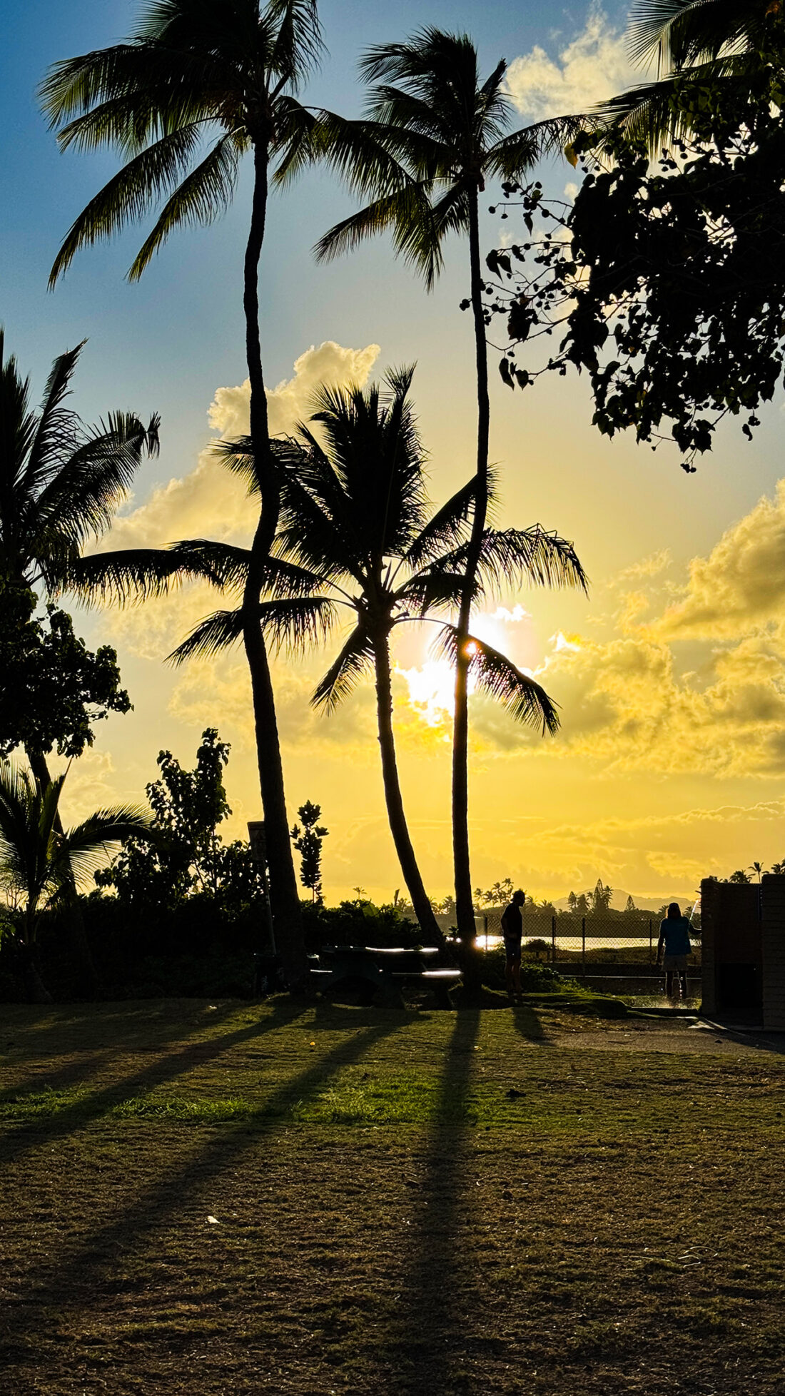 夕方ビーチにて