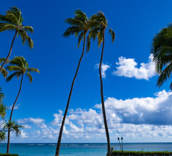 Waialae Country Clubでランチ。