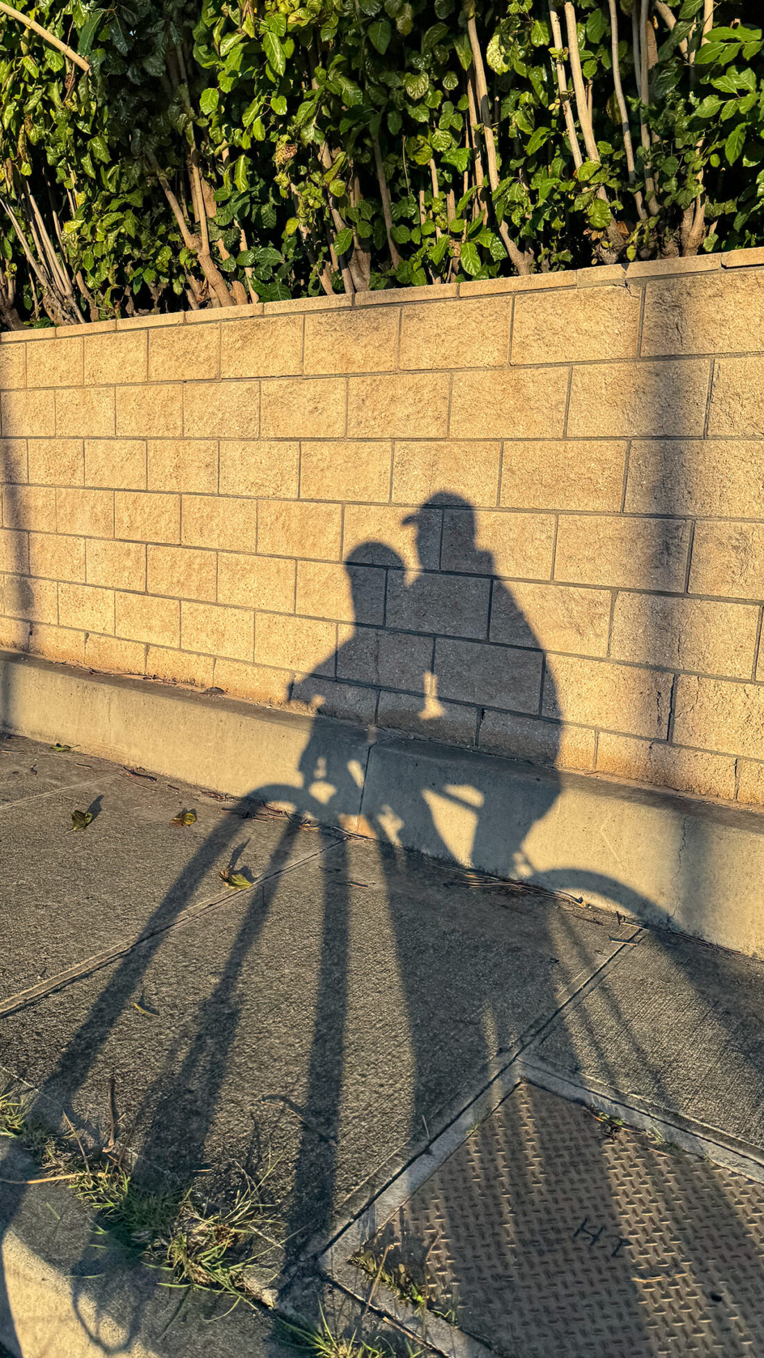 いつもの景色。