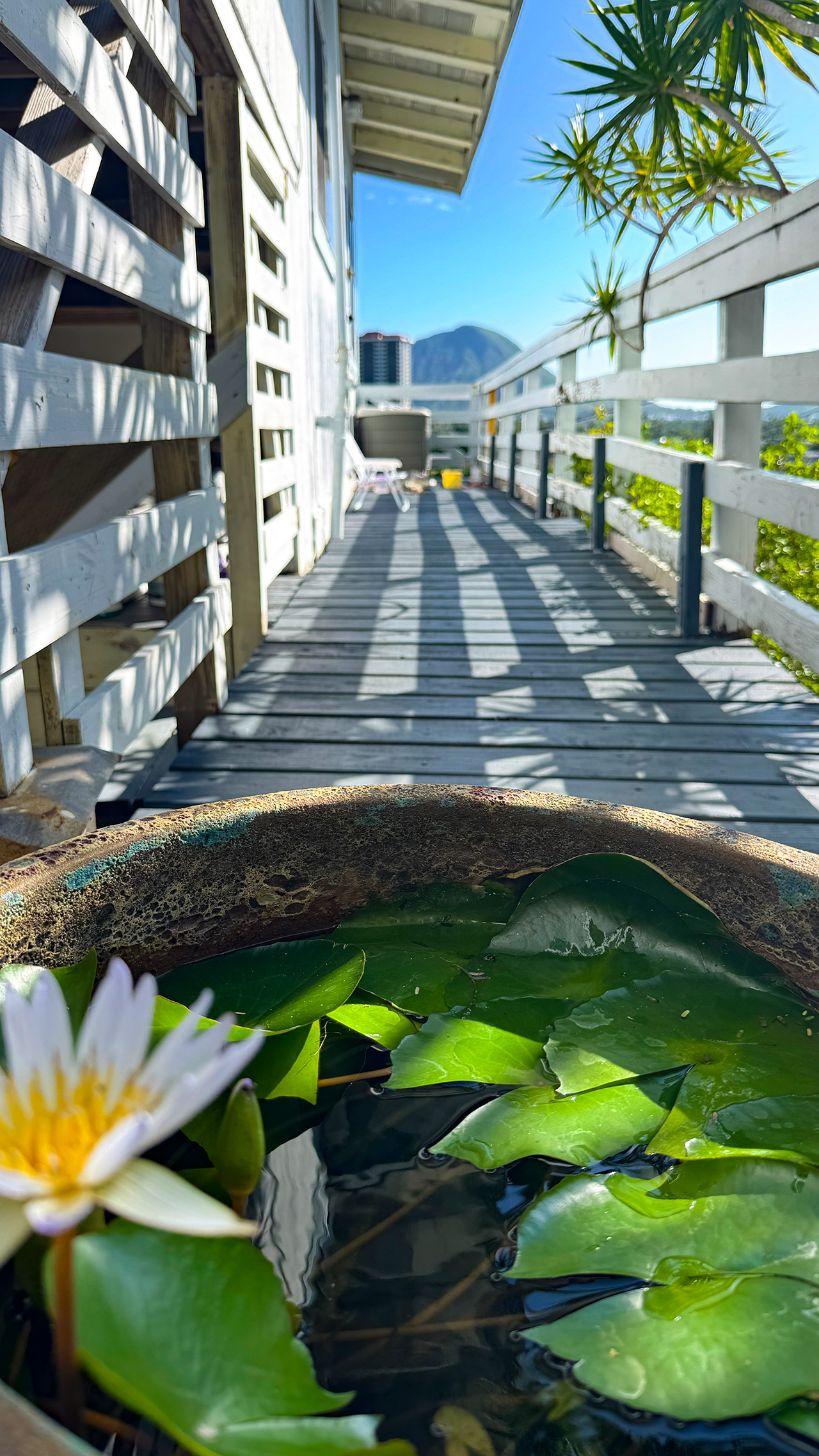 いつもの景色。