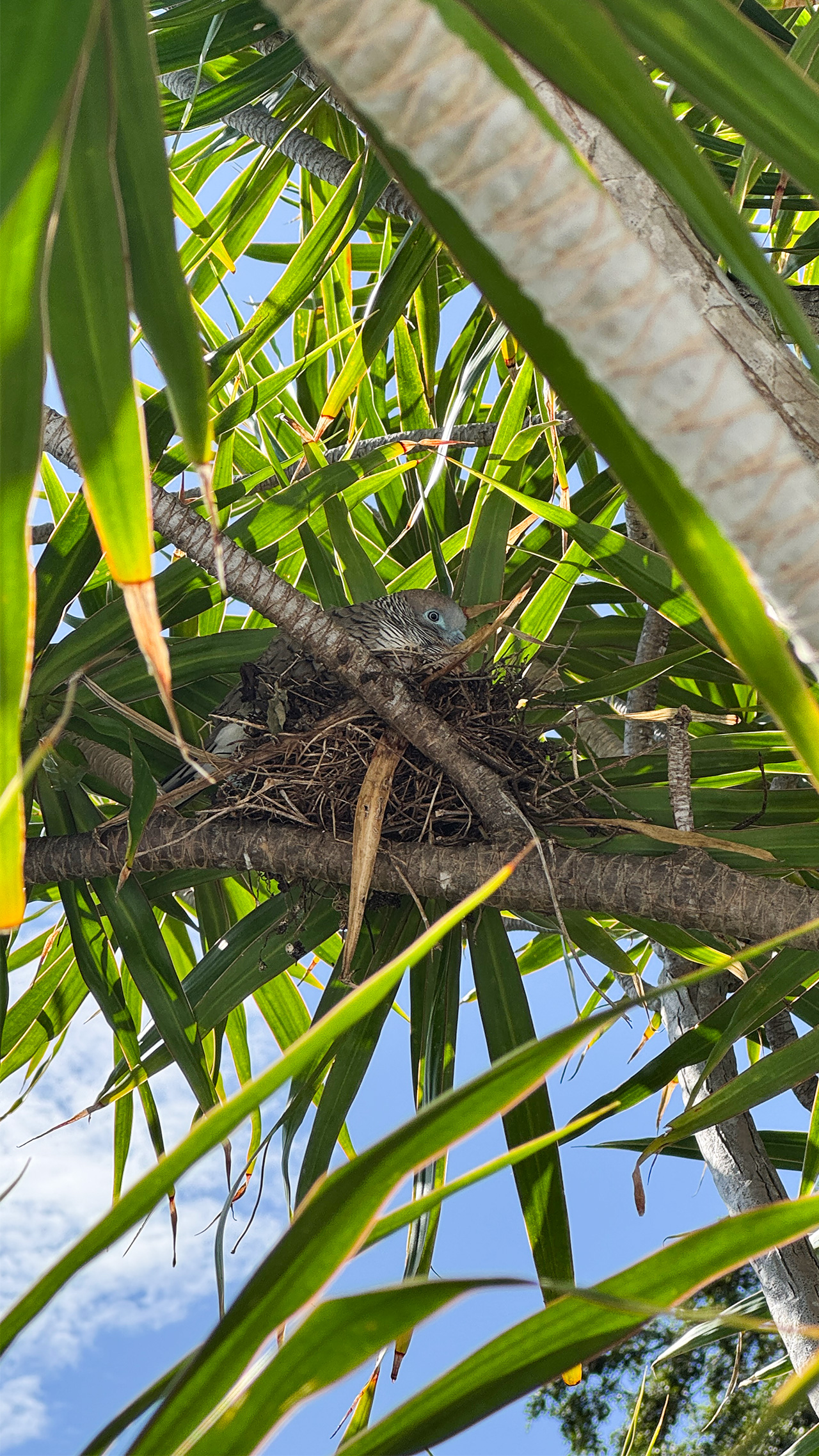 いつもの景色。