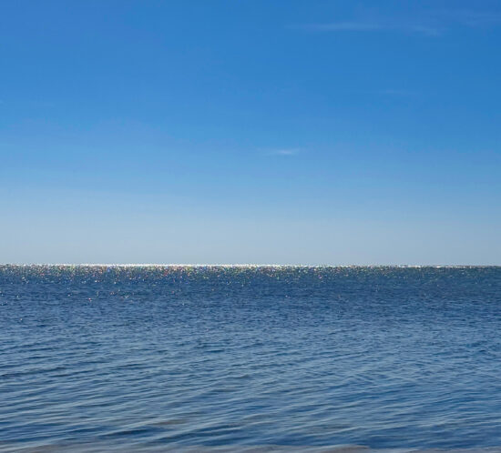 ランチを持って。