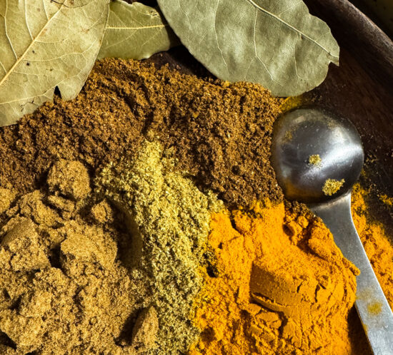 あごだしと白身魚のスパイスカレー。