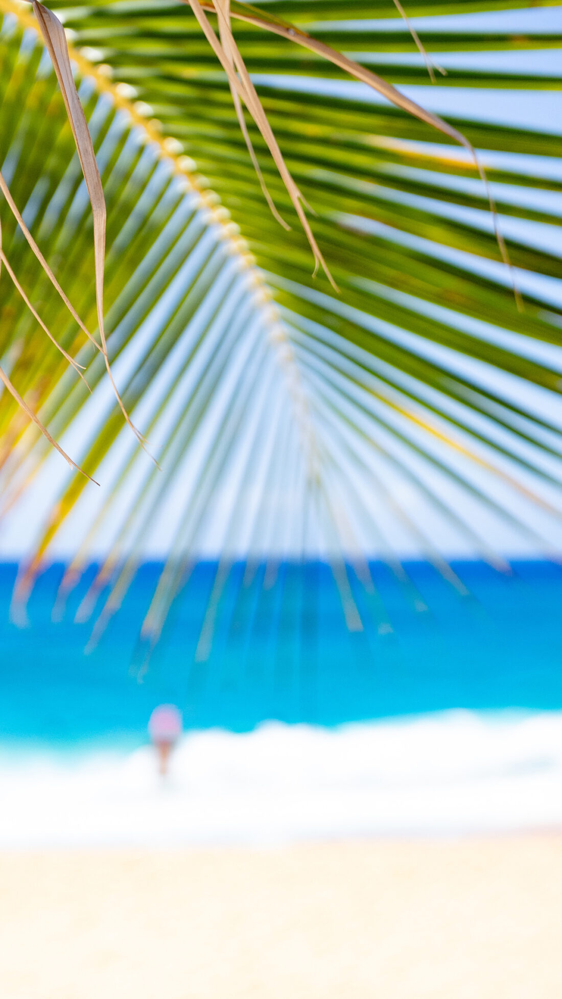 晴れるといいなぁ。