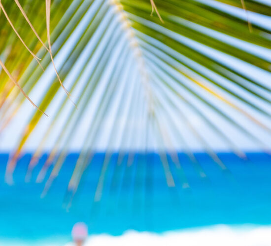 晴れるといいなぁ。