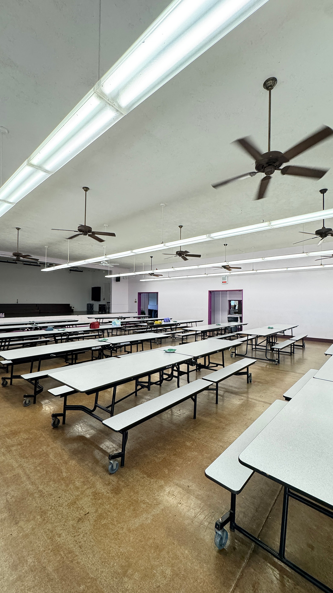 キンダーガーテン探し２。