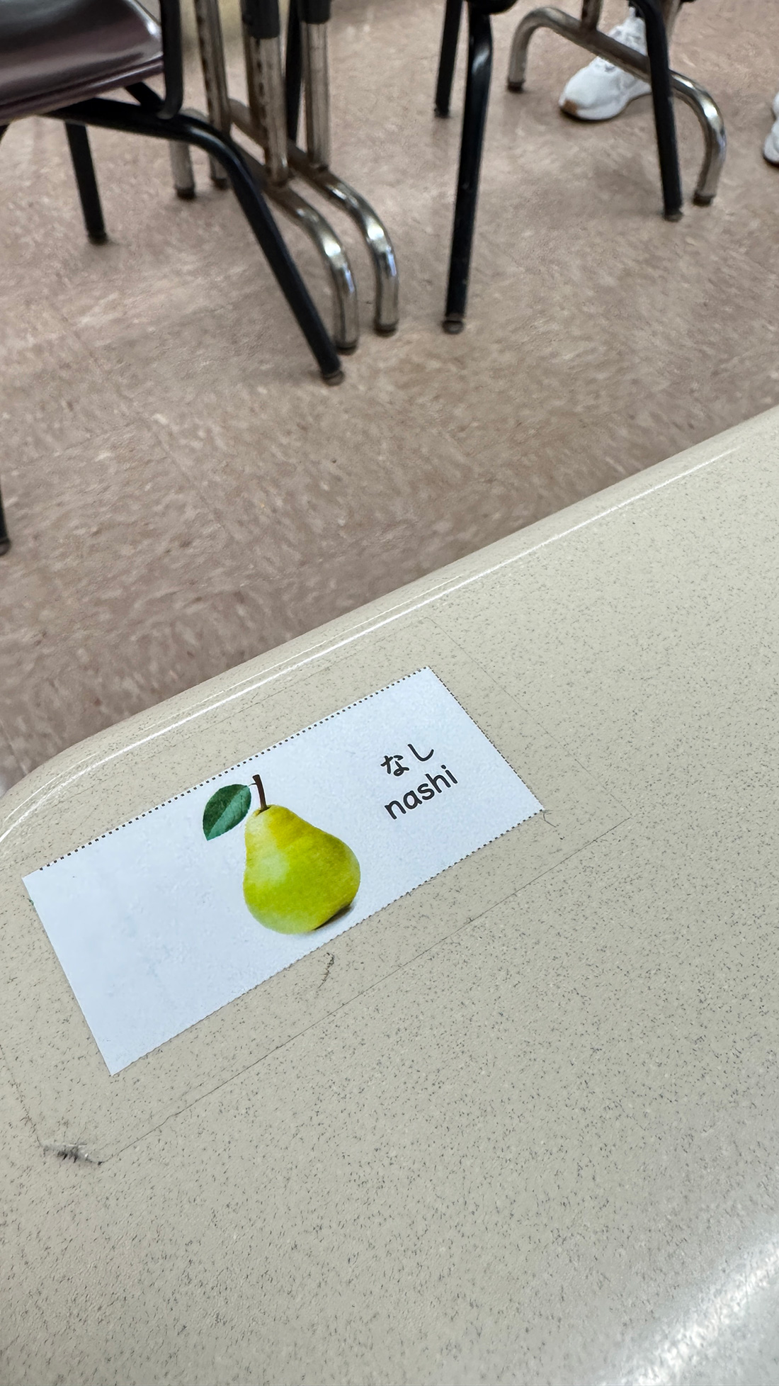 キンダーガーテン探し２。