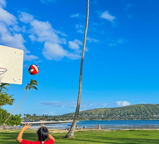 失われた椰子の木の物悲しさよ。