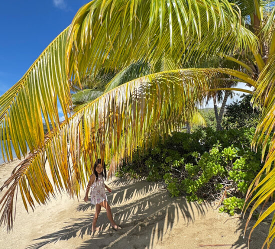 三寒四温のハワイ。