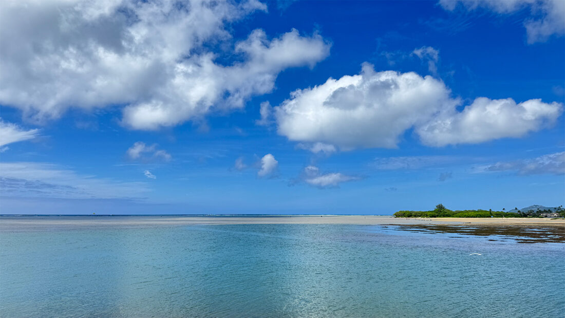 青くキラキラしたハワイが戻ってきた。