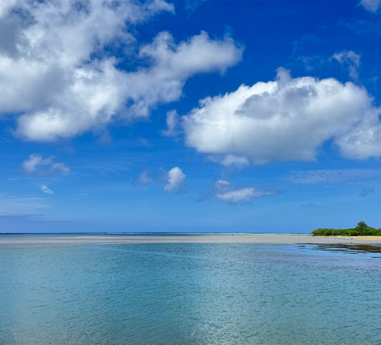 青くキラキラしたハワイが戻ってきた。