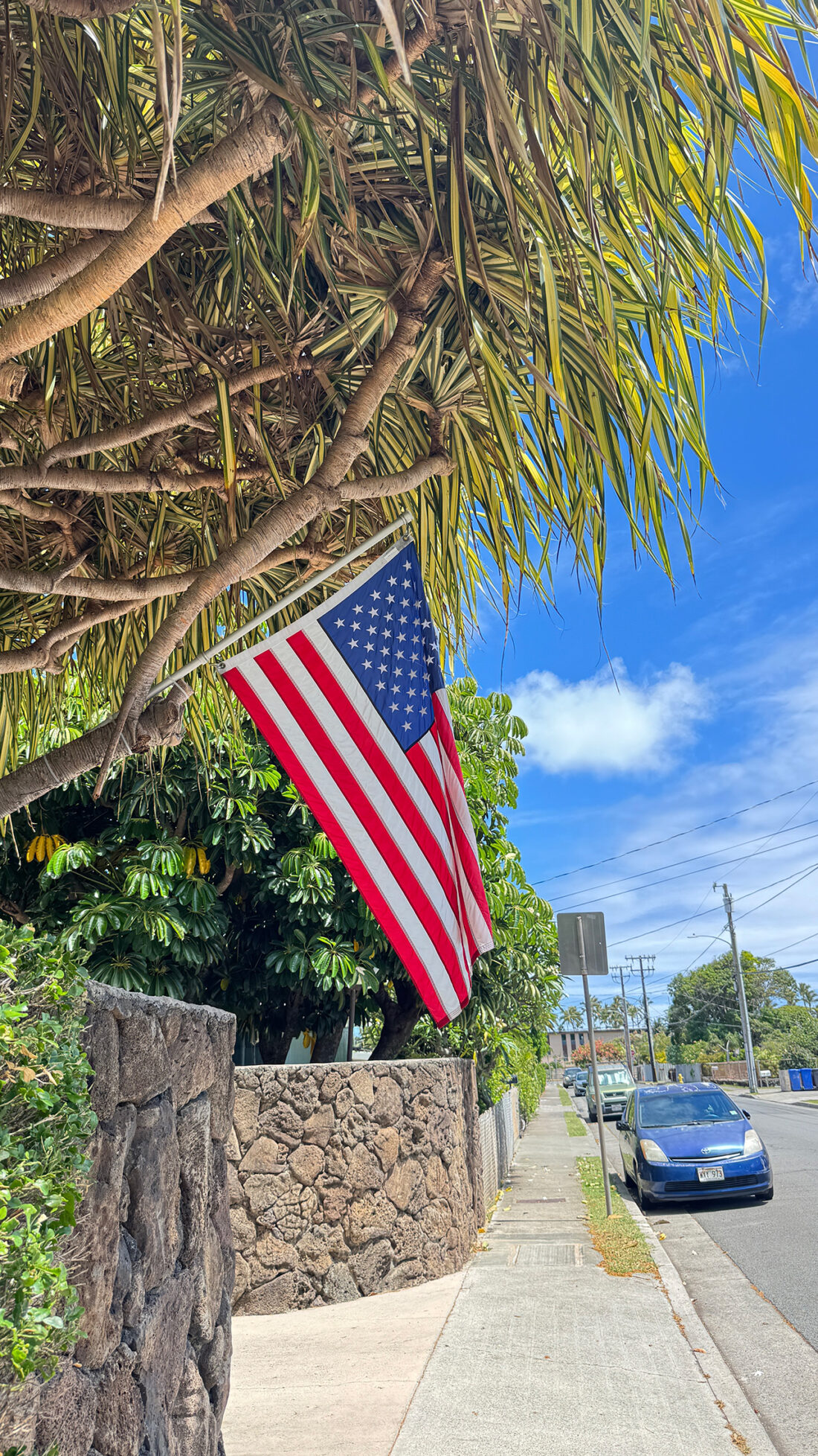 アメリカ建国250周年を祝う独立記念日の花火大会開催。