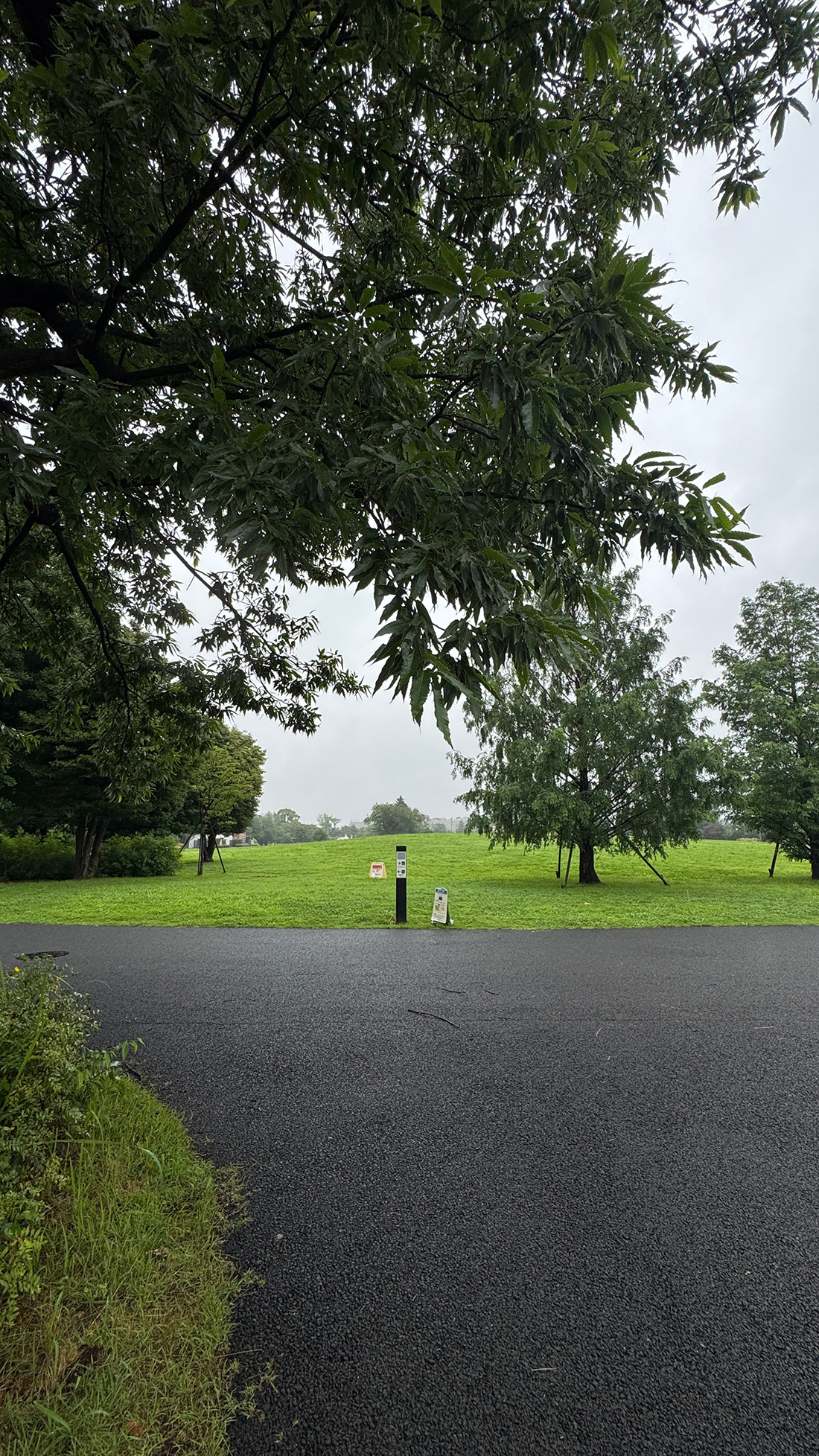 IMG_3068