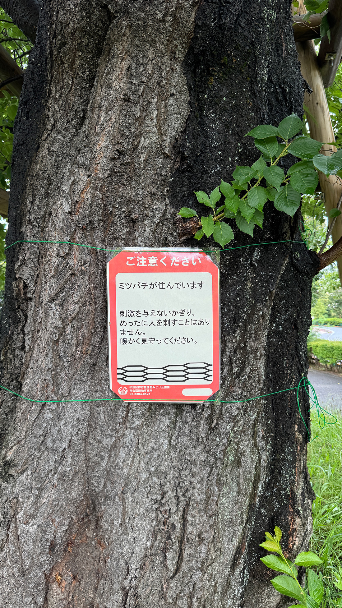東京帰国3日目。