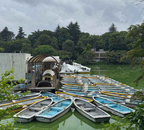 井の頭恩賜公園と父のお見舞い